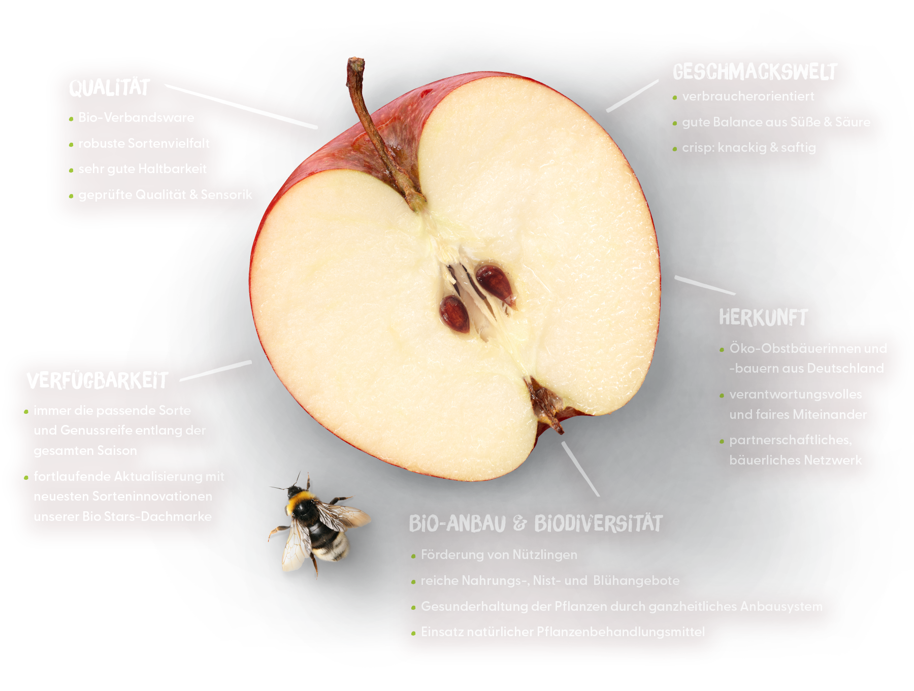 Apfel Blick
