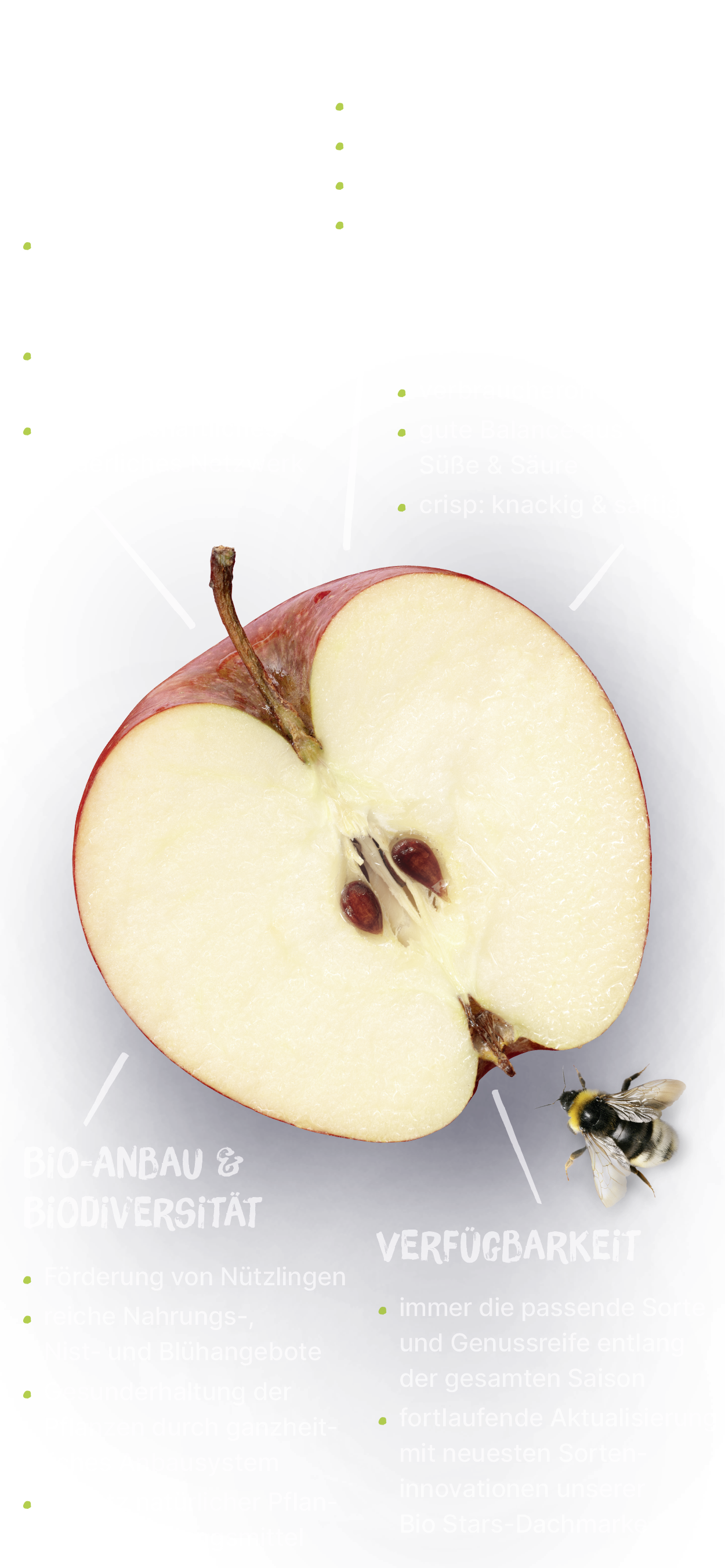 Apfel Blick